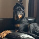 Profielfoto van Nardo Sopacuwa